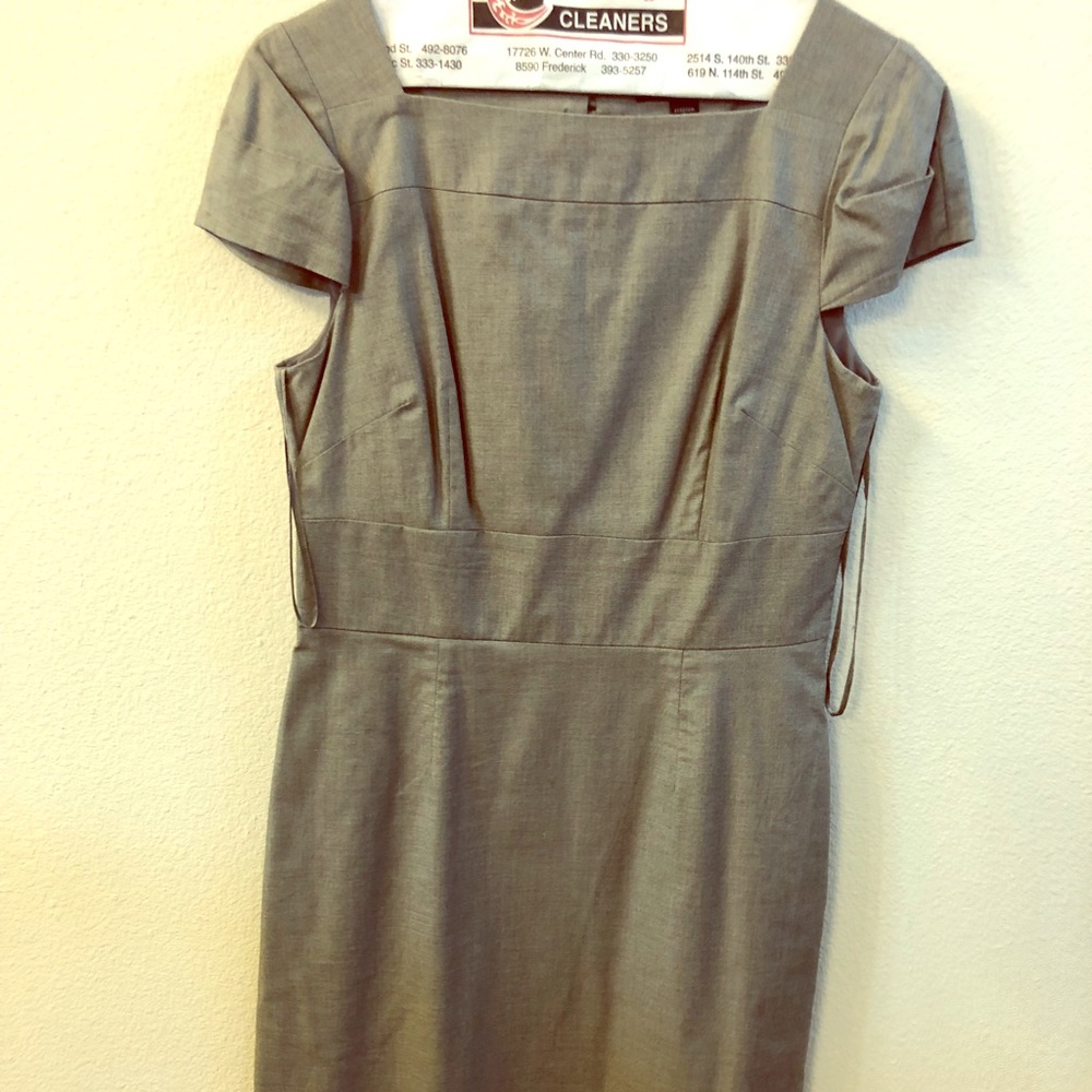 Banana Republic work sheath